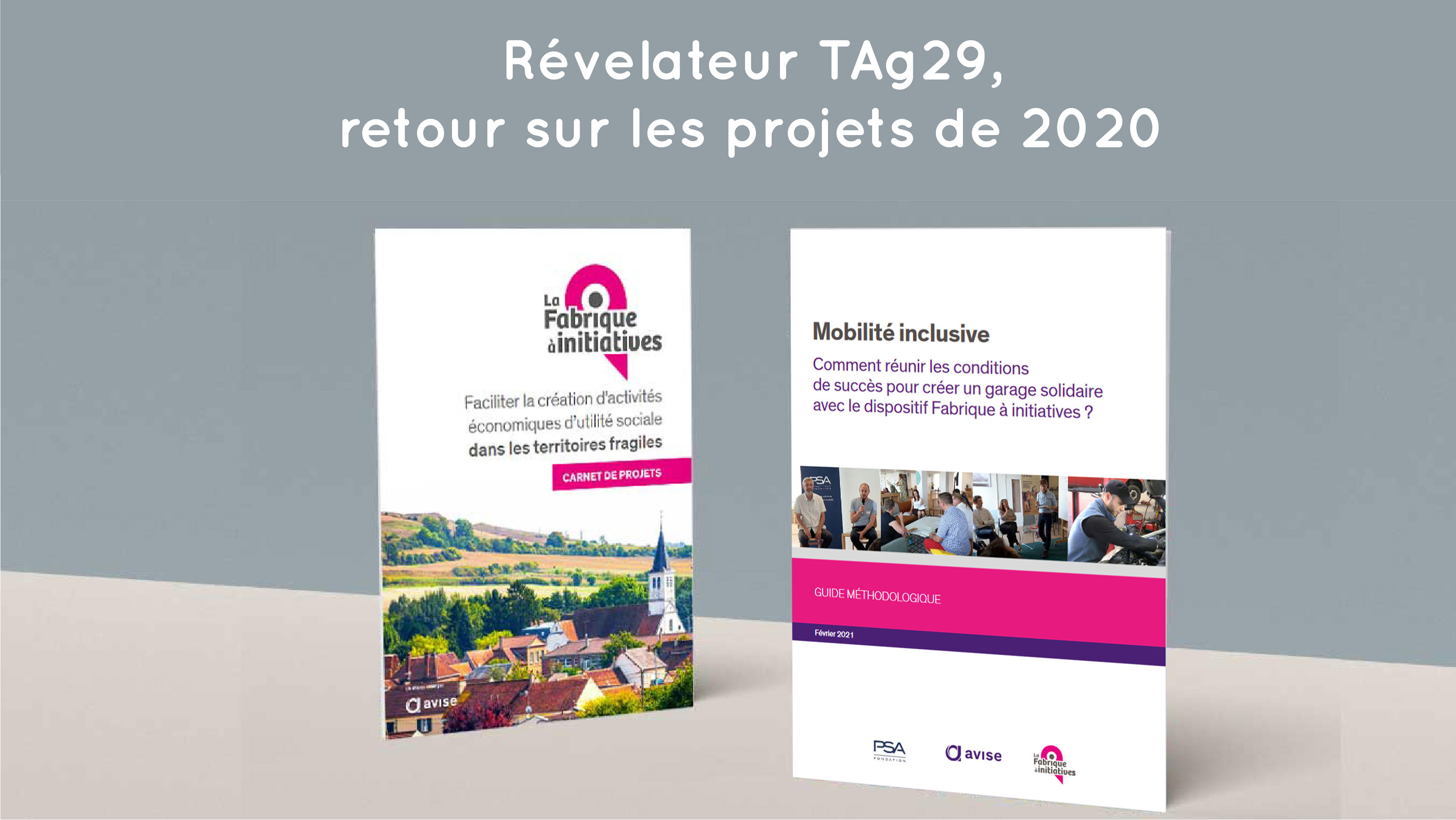 TAg29, projets Revelateur 2020