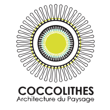 Logo Coccolithes